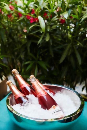 Refreshing Rose on ice for guests of a party.